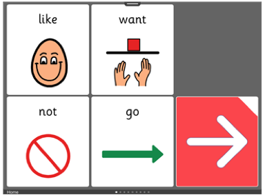 learning grids 4 square communication book